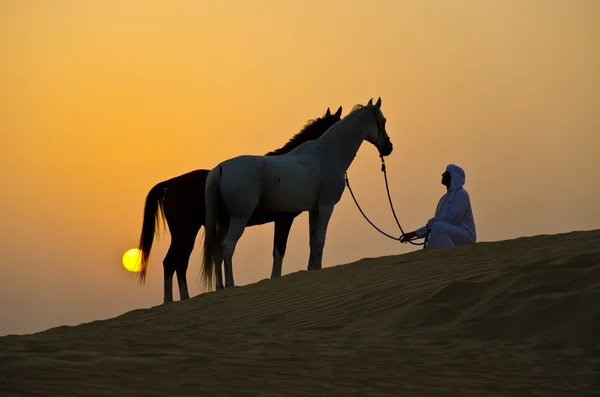 Αραβική άνθρωπος με αραβικό άλογο — Φωτογραφία Αρχείου
