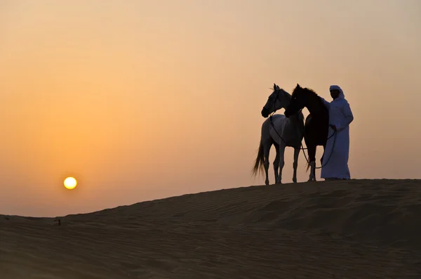 Αραβική άνθρωπος με αραβικό άλογο Φωτογραφία Αρχείου