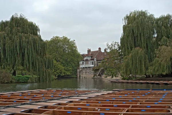 Punts on the river Cam — Stock Photo, Image