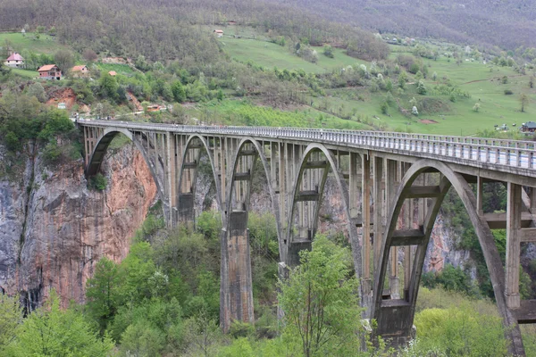 stock image The bridge in canyon Tara, Montenegro.