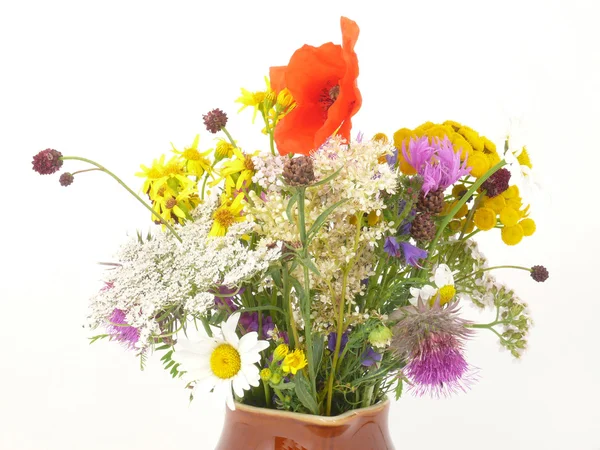 Çiçek seçimibloem selectie — Stockfoto