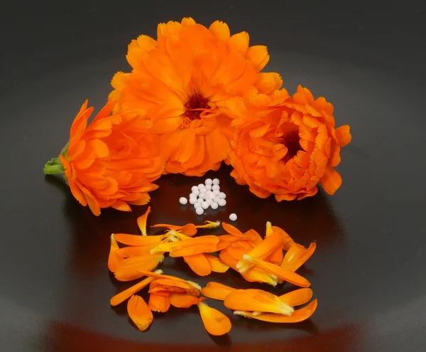Globules and marigold — Stock Photo, Image