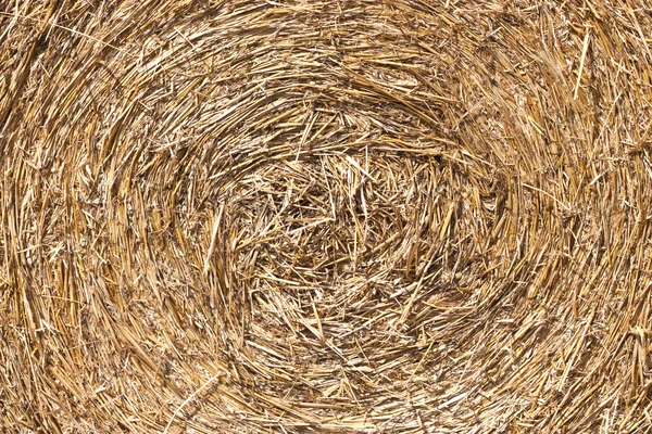 Round hay bale texture — Stock Photo, Image