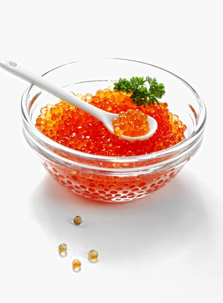 El caviar de las especies de peces esturión - rojo granular — Foto de Stock