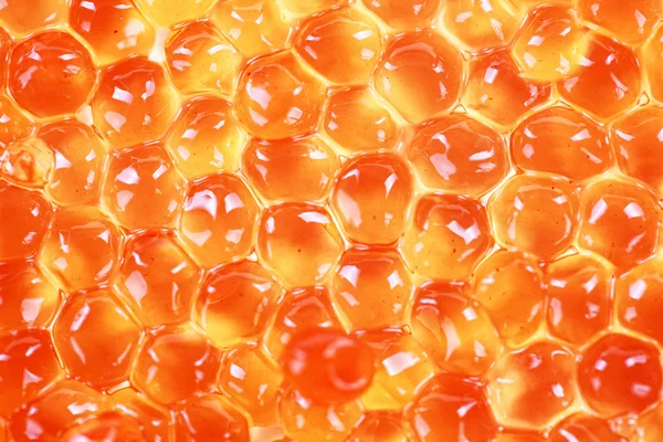 El caviar de las especies de peces esturión - rojo granular — Foto de Stock