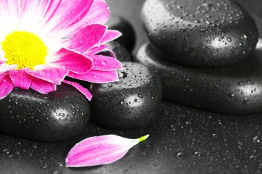 Masaj ve güzellik Spa aksesuarları