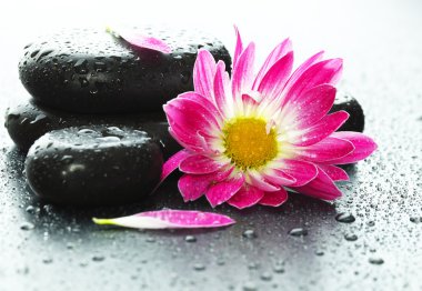 Masaj ve güzellik Spa aksesuarları