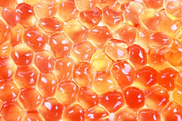 stock image Caviar of sturgeon fish species - the red granular