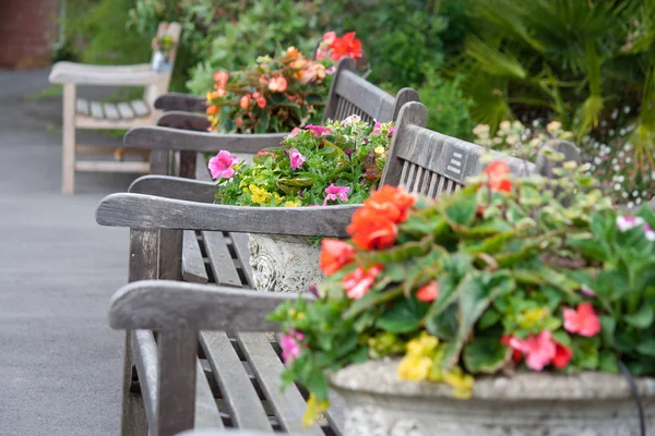 Benches in garden — Stock Photo, Image