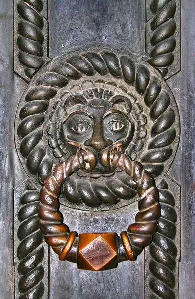 Kliky dveří ve tvaru lva. — Stock fotografie