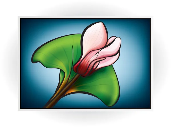 Pembe Siklamen çiçeği — Stok Vektör