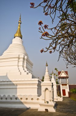 Wat Phra Kaeo Don Tao