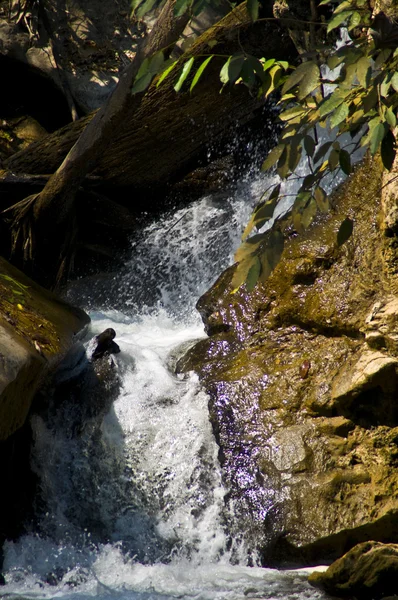 メイ sa の滝 — ストック写真