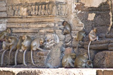 WAT phra sam yot saldırın