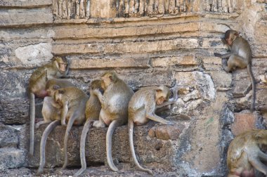 WAT phra sam yot saldırın