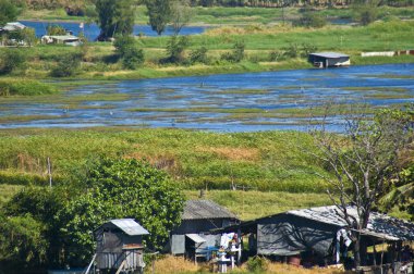 Tarım Tayland