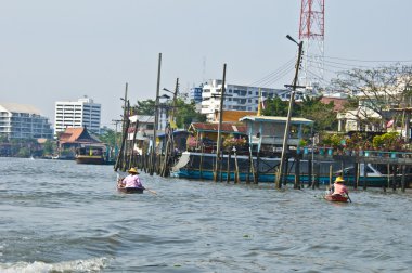 Bangkok ve onun Nehri