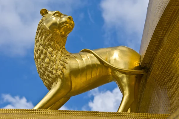 Goldener Löwe — Stockfoto