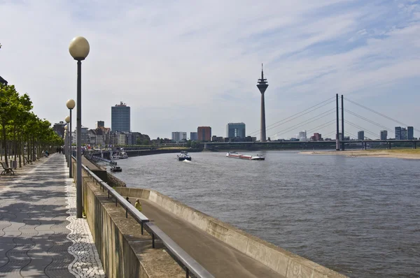 莱茵河散步 — 图库照片