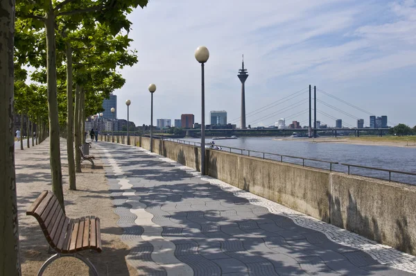Rhine promenade — Stock Photo, Image