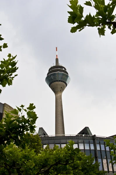 Torre del Rin — Foto de Stock