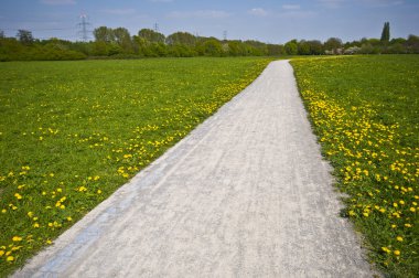 güneşli yolu