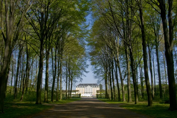 Παλάτι augustusburg — Φωτογραφία Αρχείου