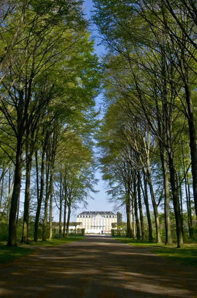 Palacio Augustusburg — Foto de Stock