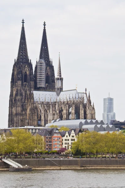 Köln katedrali — Stok fotoğraf