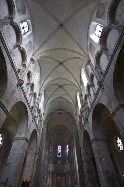 Grande église Saint-Martin — Photo