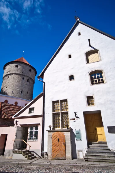 Staré město Tallinn — Stock fotografie