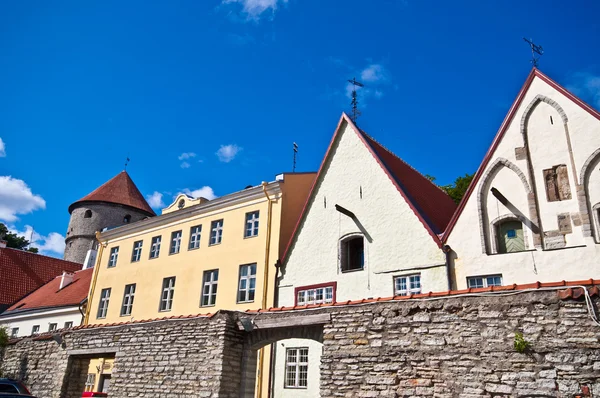 Oude stad van Tallinn — Stockfoto