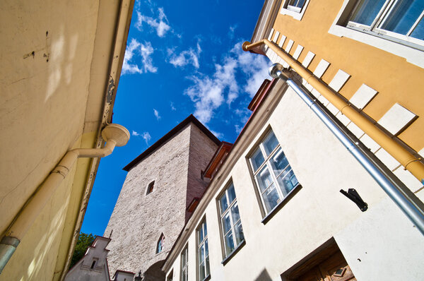 Detail of the old city of Tallinn