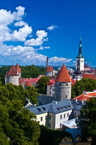 View of Tallinn — Stock Photo, Image