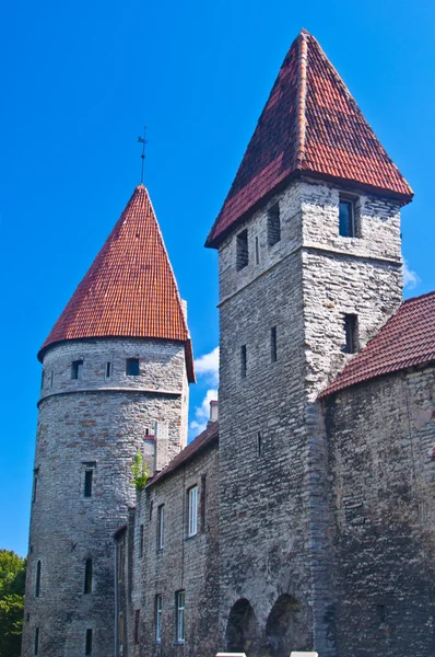 La vieille ville de Tallinn — Photo