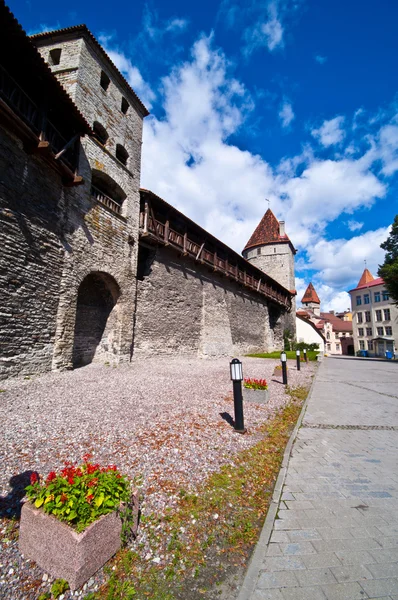 La vieille ville de Tallinn — Photo