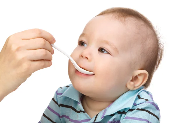Little boy is being feed by his mother Stock Image