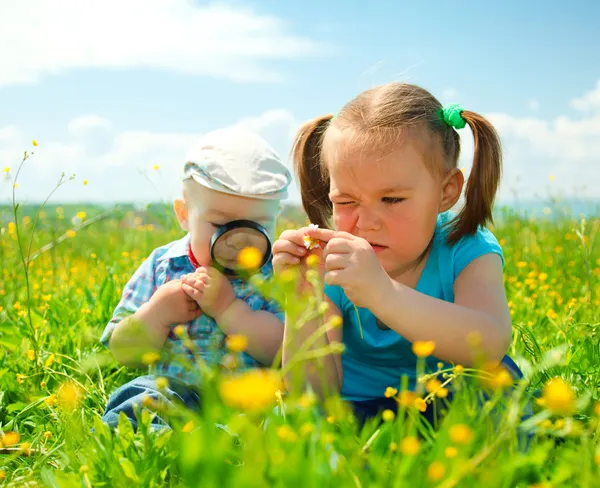 As crianças estão brincando no prado verde Imagens Royalty-Free