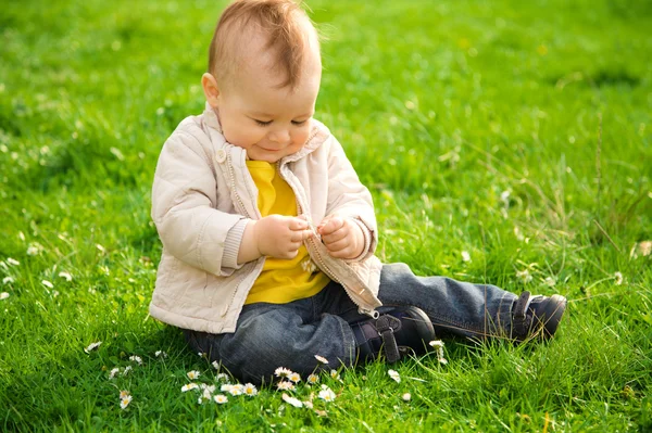 Маленький хлопчик сидить на зеленому лузі — стокове фото