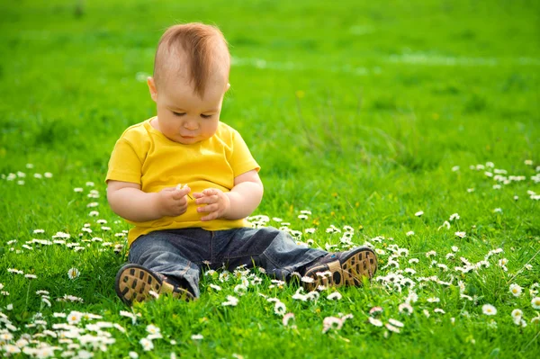 Malý chlapec sedí na zelené louce — Stock fotografie