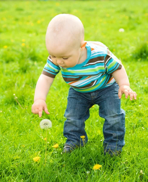 Μικρό αγόρι είναι το παιχνίδι στο πράσινο λιβάδι — Φωτογραφία Αρχείου