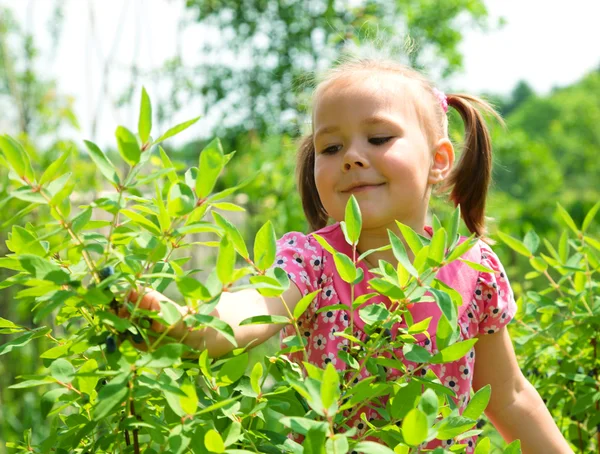 Menina está pegando doces dos arbustos — Fotografia de Stock