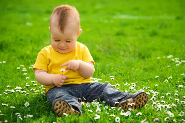 Mały chłopiec siedzi na zielony łąka — Zdjęcie stockowe