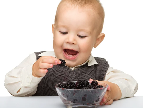 Little boy is eating blackberry — Stock Photo, Image