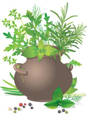 Bouquet fresh herbs in ceramic pot clipart