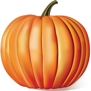 Ripe Pumpkin clipart