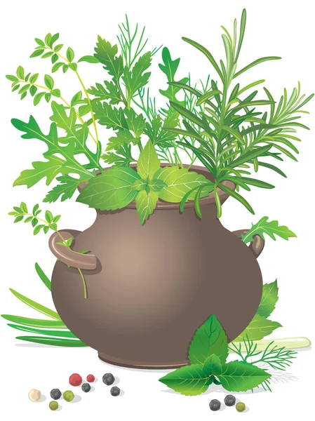 Čerstvé bylinky kytice v keramické hrnce — Stockový vektor