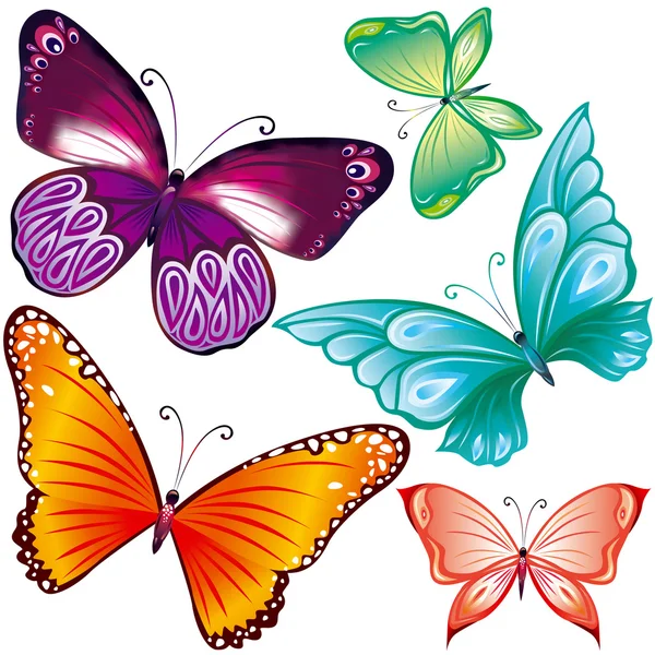 Conjunto de borboletas —  Vetores de Stock