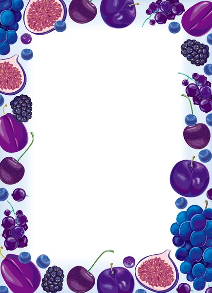 Lila fruit en bessen frame — Stockvector