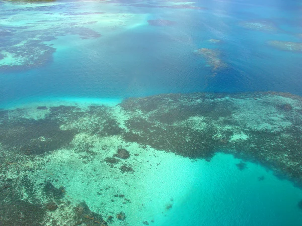Reef vanuit de lucht — Stockfoto